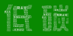 九州登录-九州（中国）_九州（中国）
邀您共享低碳“盛宴”